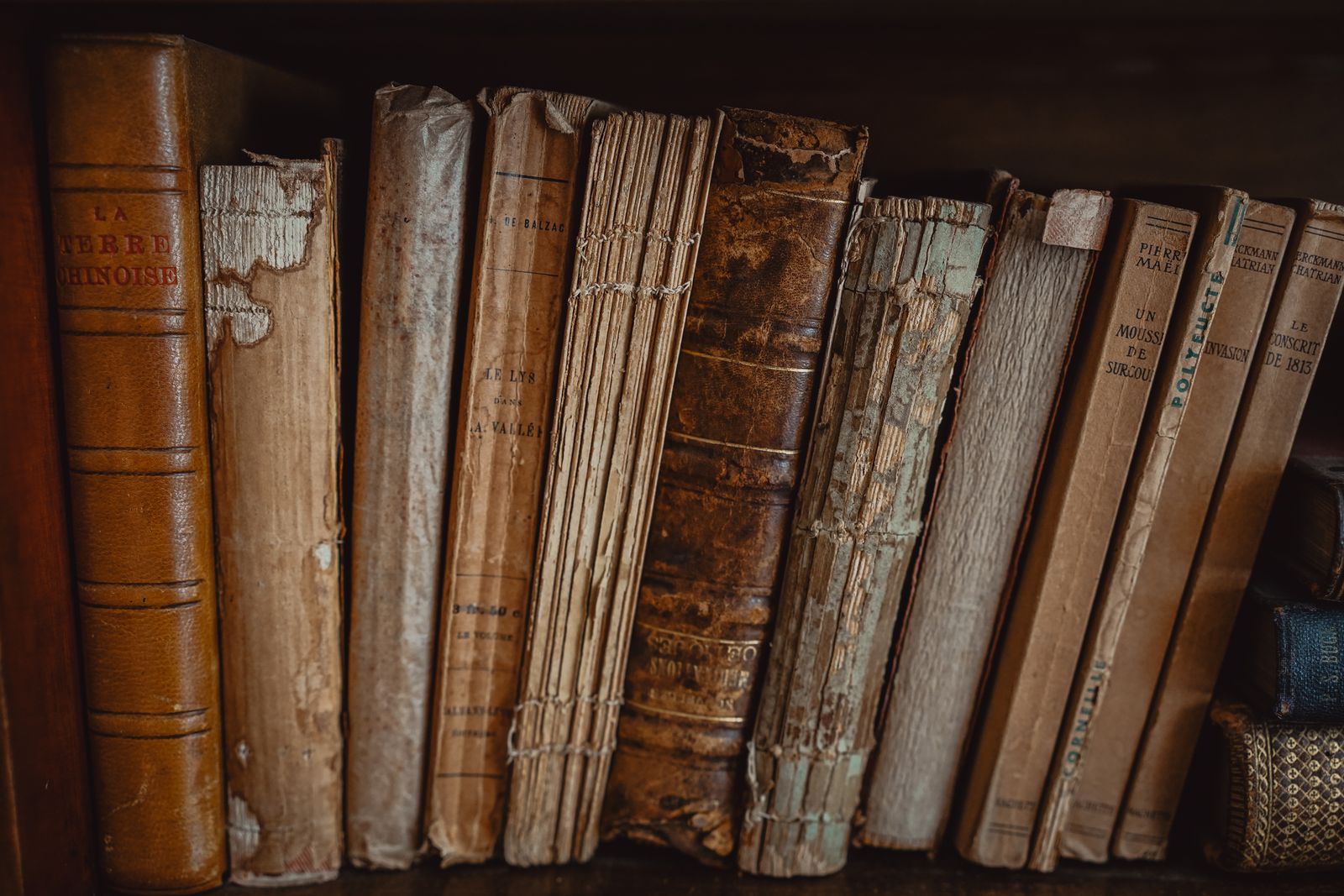 Ряд старых потрёпанных книг на полке — содержимое, которое часто хранят в DjVu
