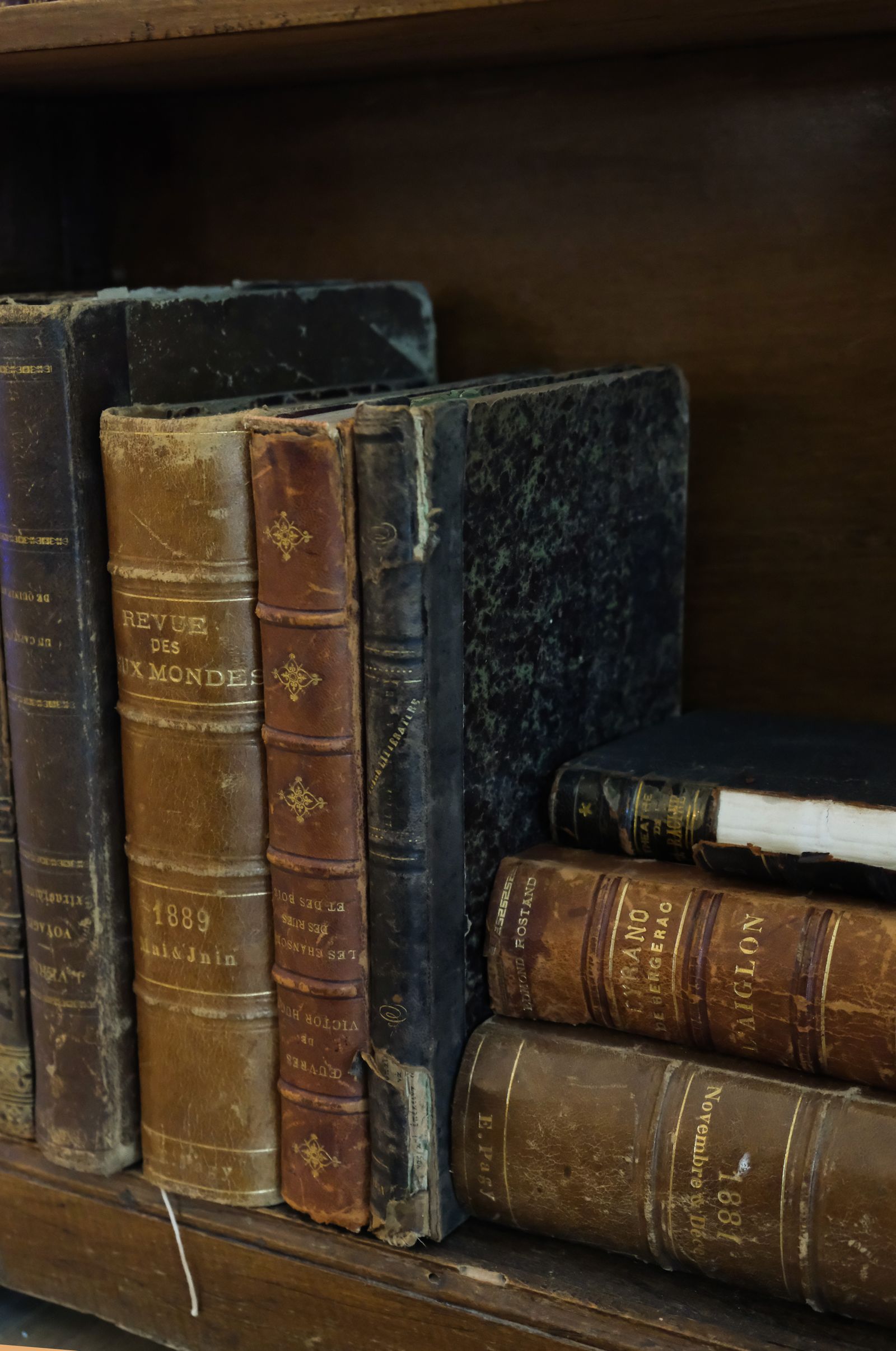 Antique books with 1880s dates embossed on their spines — typical material for digitization