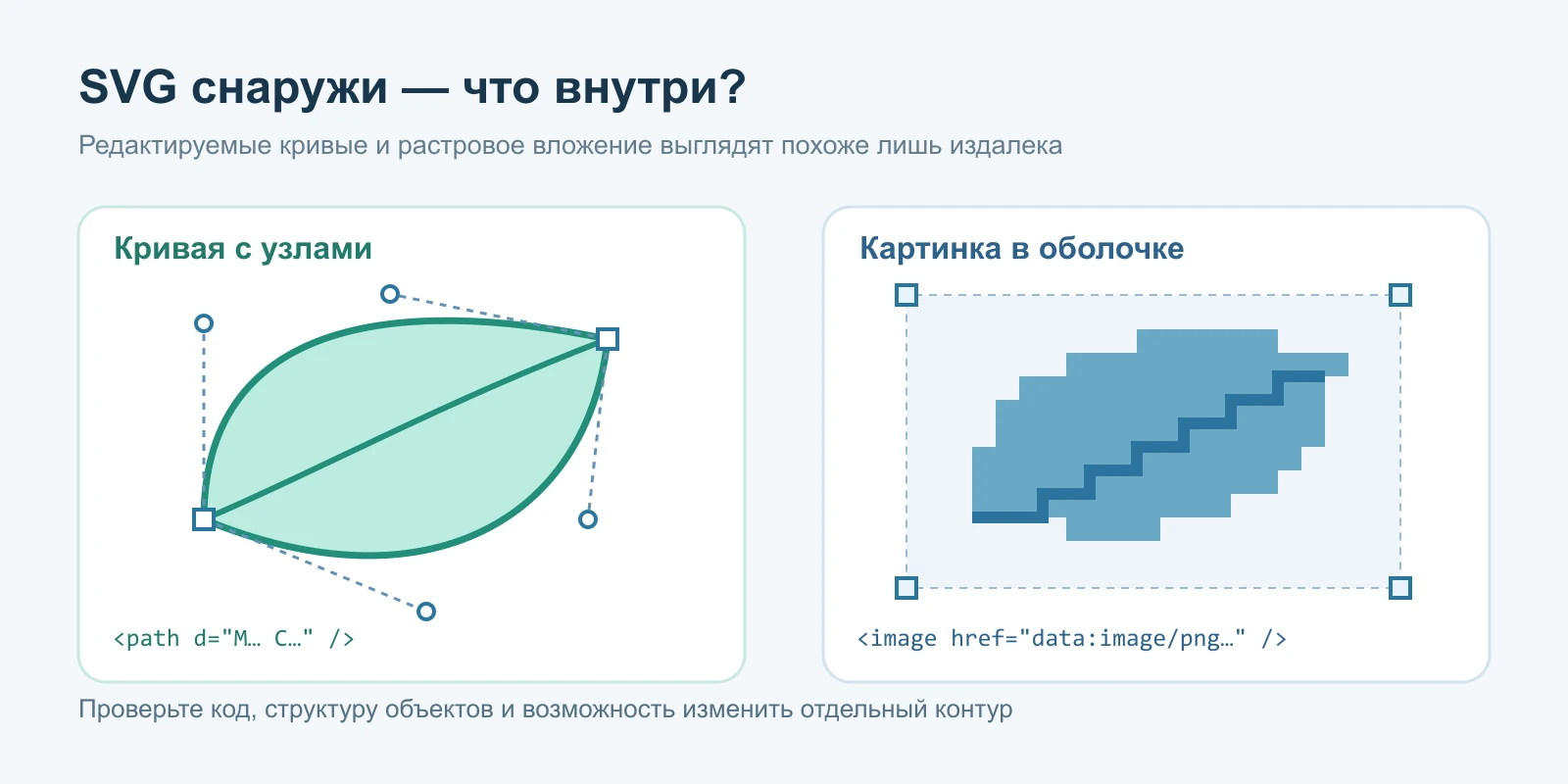 Векторный контур с опорными точками сравнивается с пиксельным рисунком, вложенным в SVG