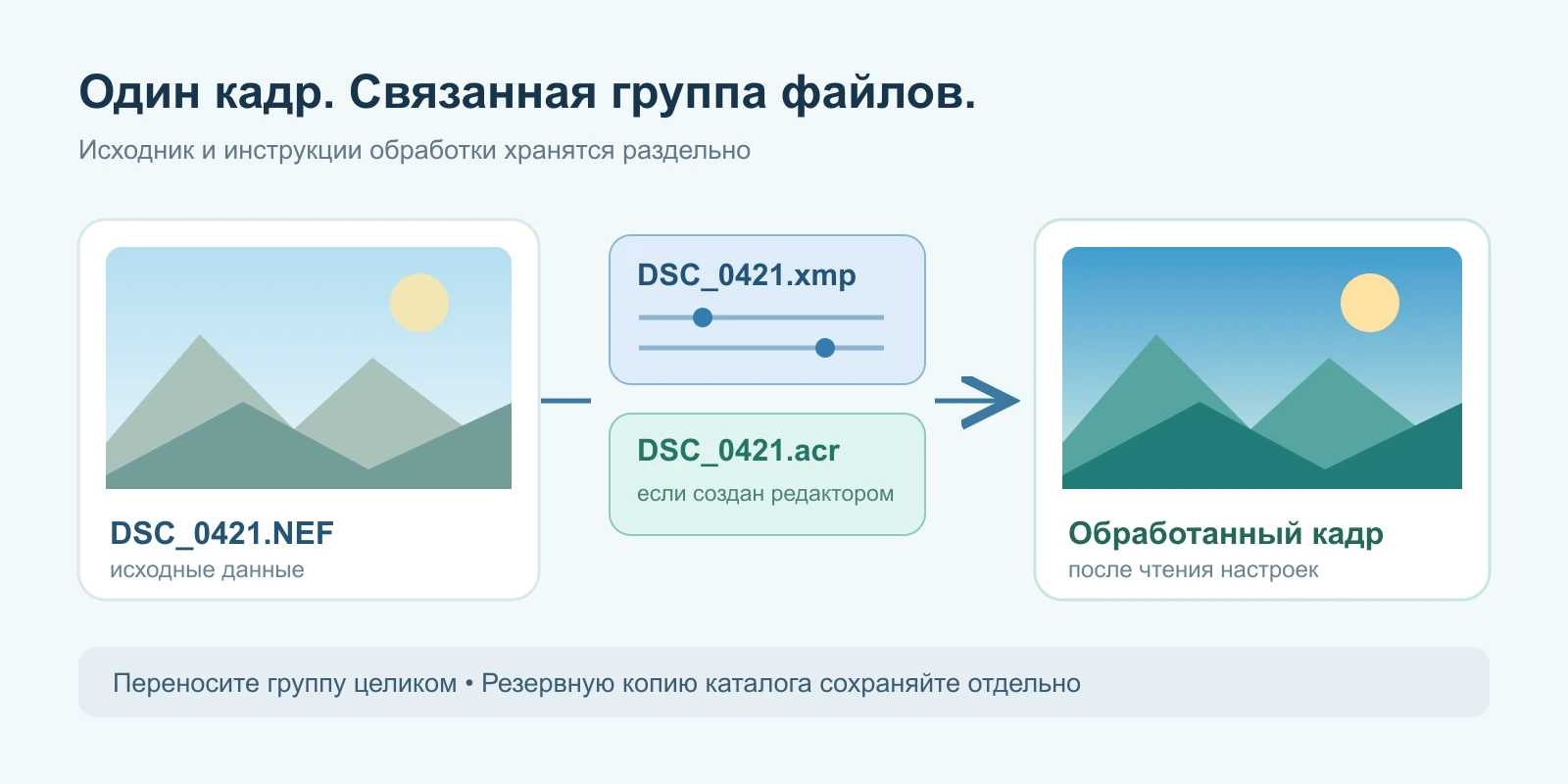 Схема: исходный RAW и связанные XMP и ACR вместе создают обработанный кадр, каталог сохраняется отдельно