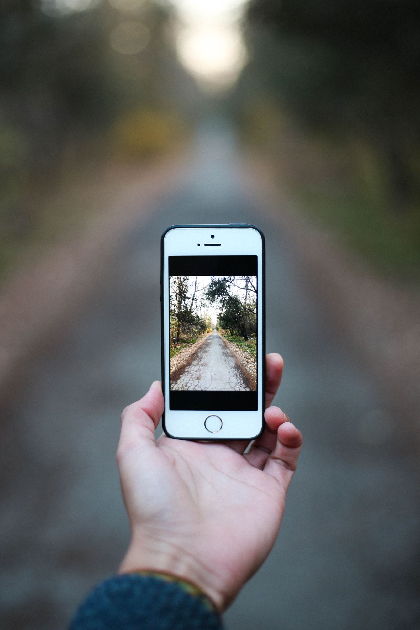 iPhone в руке показывает снимок лесной дороги — пример фотографии, упакованной в контейнер HEIF