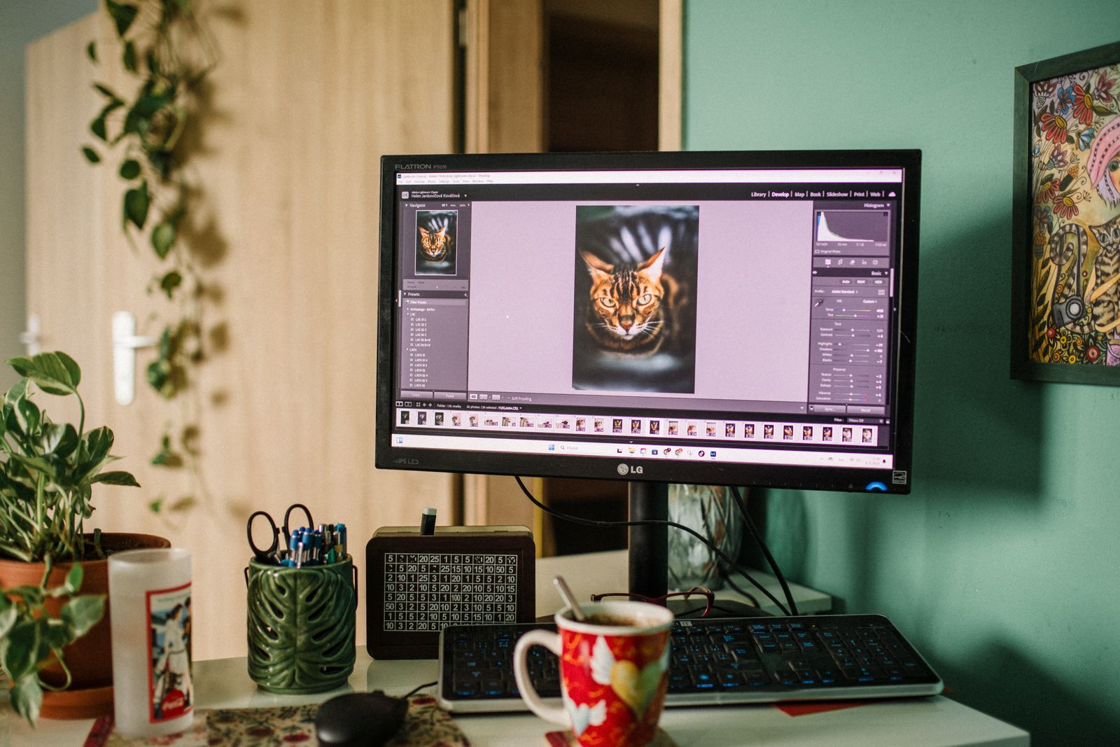 A monitor running a photo editor: an image on the canvas, tool panels, and a filmstrip of thumbnails along the bottom