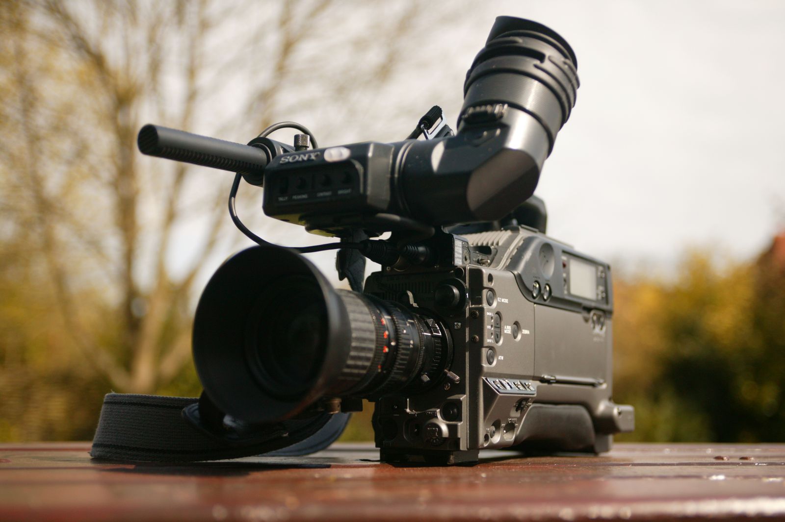 MP4, MKV или MOV: какой видеоформат выбрать